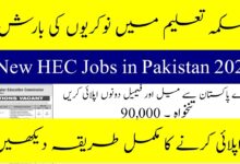 Higher Education Commission Latest jobs 2024