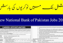 National Bank of Pakistan Latest jobs 2024