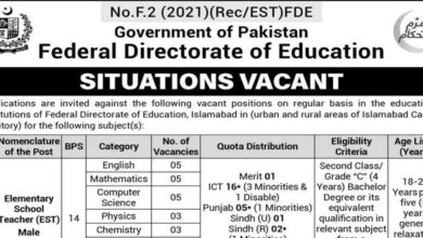 EST (Elementary School Teachers) BPS-14 Jobs 2024