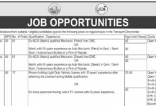 WAPDA Jobs September 2024